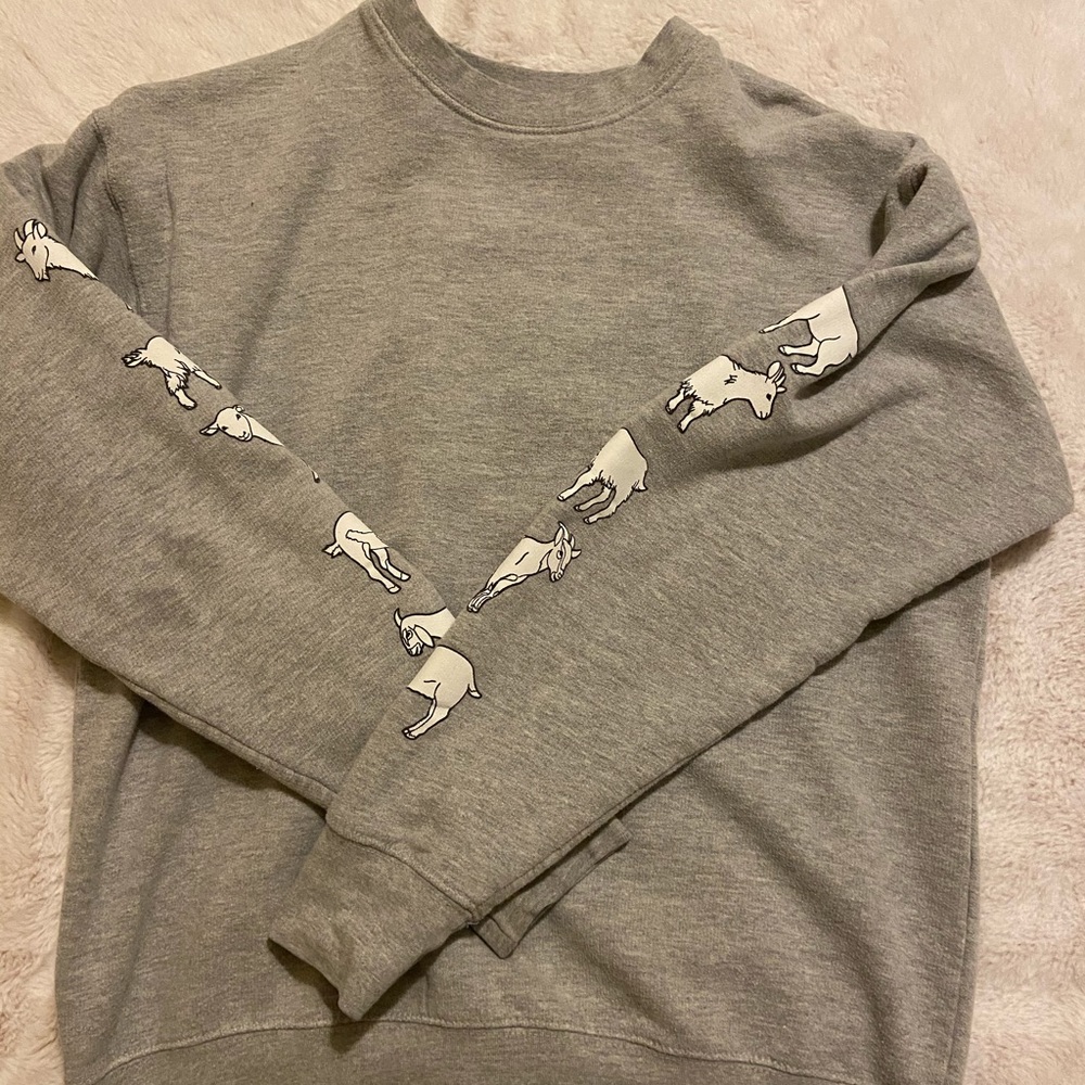 sweatshirt